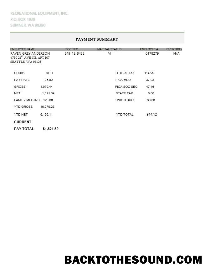 İndir Recreational Ekipman LLC pay stub in PDF and Word Format Örnek taslak