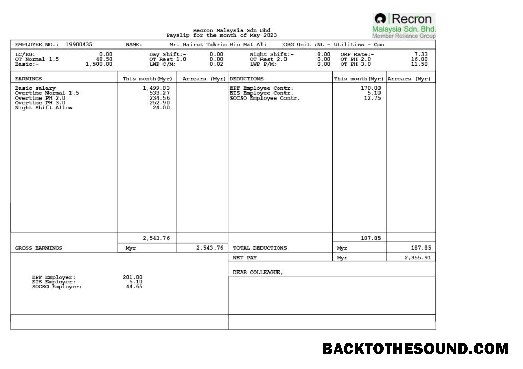 İndir Recron Malezya payslip in Word and PDF Formatlar.PDF, 1 Örnek ön izleme