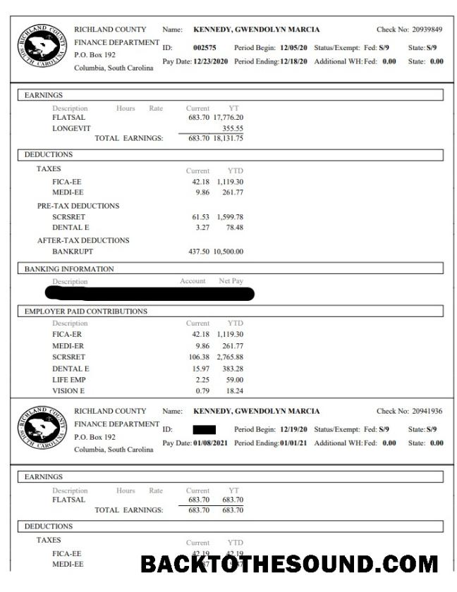İndir Richland County Finans Department paystub Örnek tasarım