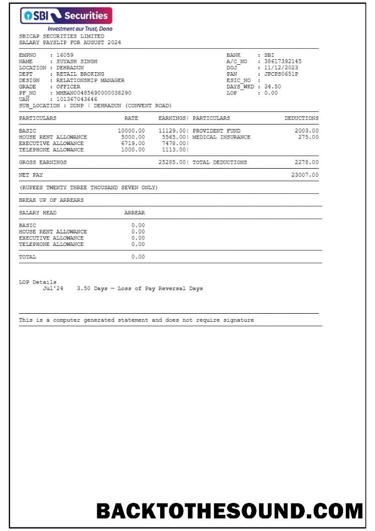 İndir SBICAP Securities payslip in Word and PDF Formatlar.PDF, 1 Örnek ön izleme
