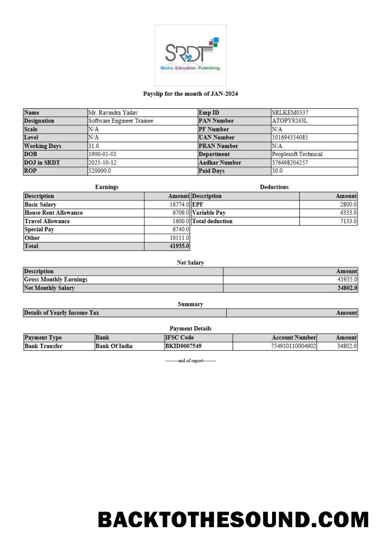 İndir SRDT media, eğitim, publishing payslip in Word and PDF Formatlar.PDF, 1 Örnek taslak