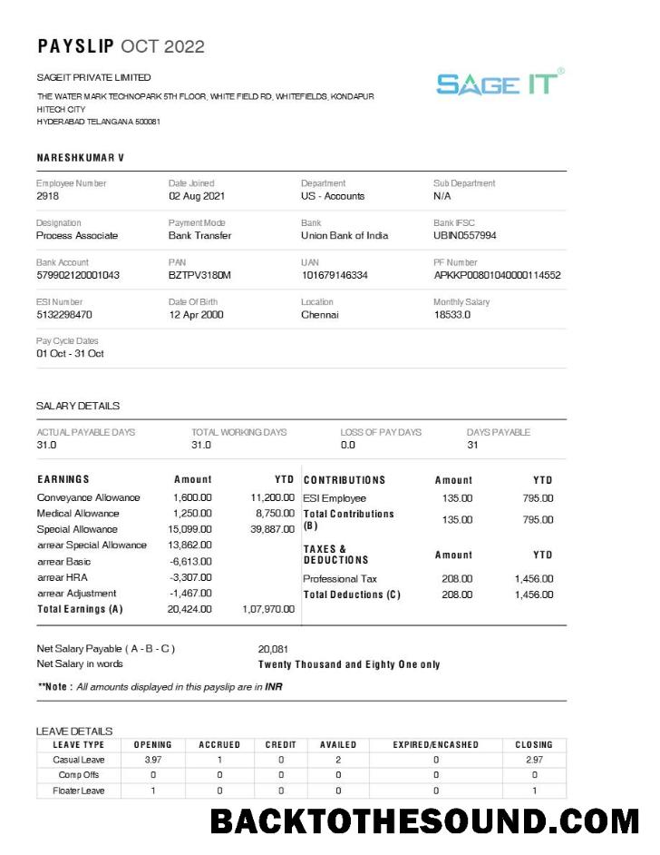 İndir SageIT payslip in Word and PDF Formatlar.PDF, 1 Örnek tasarım