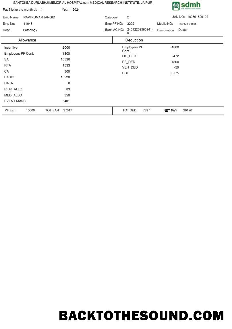 İndir Santokba Durlabhji Memorial Hospital payslip in Word and PDF Formatlar.PDF, 1 Örnek şablon