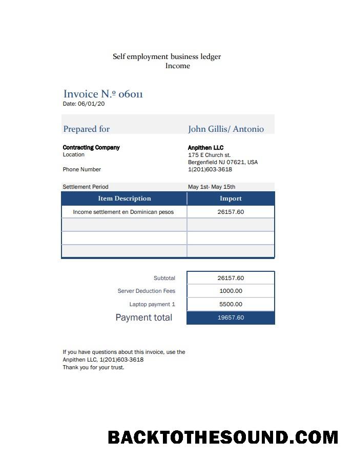 İndir Self istihdam pay stub Örnek şablon