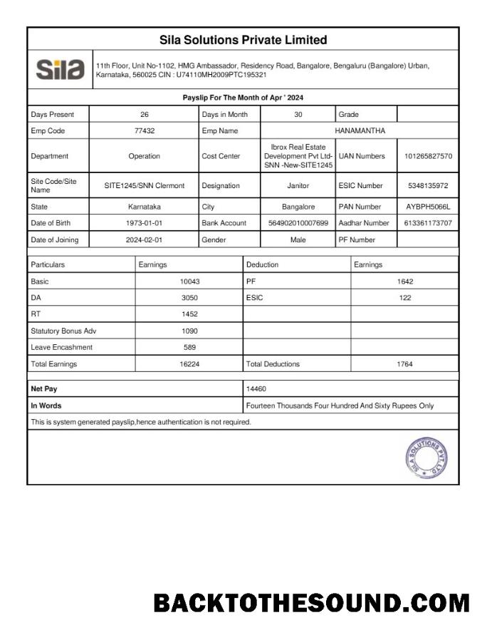 İndir Sila Solutions payslip in Word and PDF Formatlar.PDF, 1 Örnek örnek