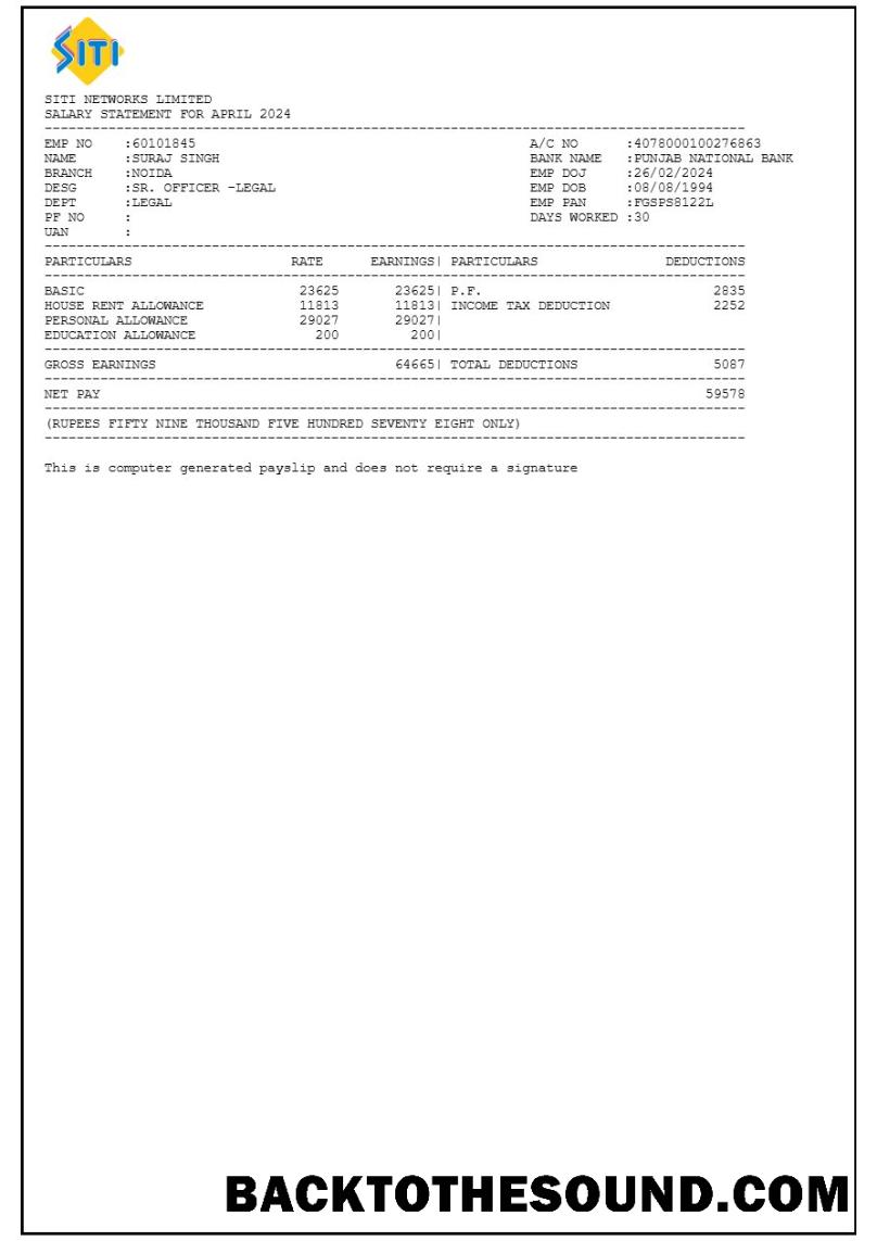 İndir Siti Networks payslip in Word and PDF Formatlar.PDF, 1 Örnek örnek