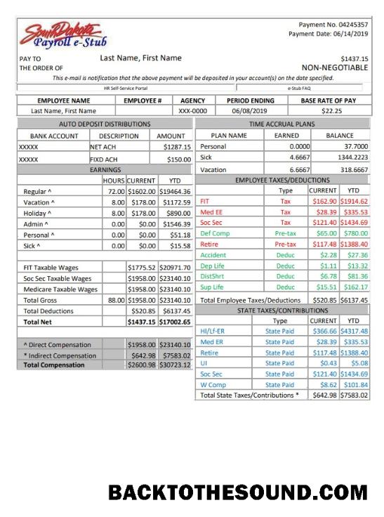 İndir South Dakota payroll e stub Word and PDF Örnek ön izleme