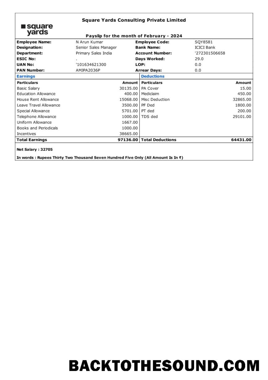 İndir meydan Yards Consulting payslip in Word and PDF Formatlar.PDF, 1 Örnek tasarım