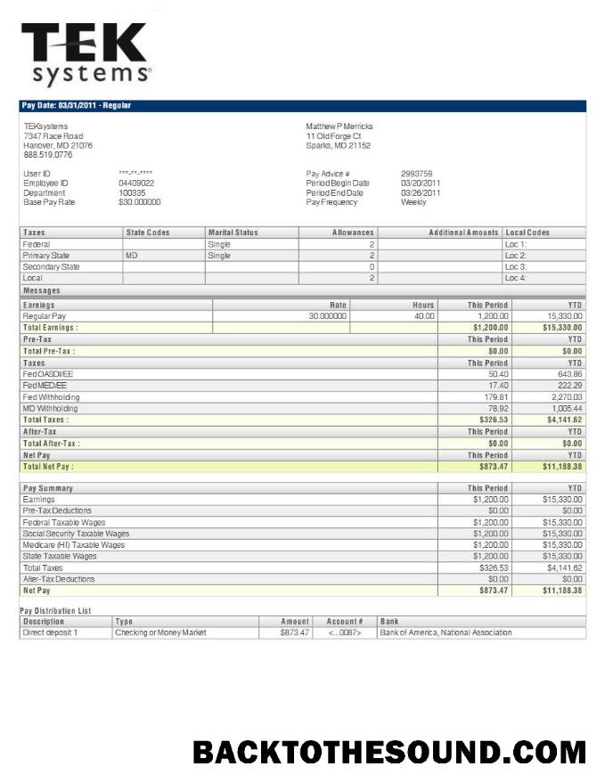 İndir TEKsystems pay stub in Word and PDF Formatlar.PDF, 1 Örnek şablon