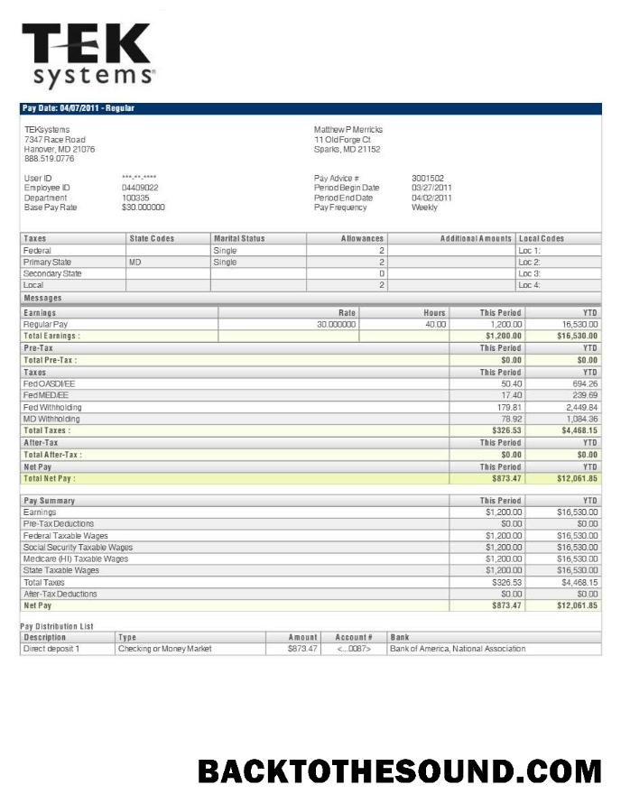 İndir TEKsystems pay stub in Word and PDF Formatlar.PDF, 2 Örnek tasarım