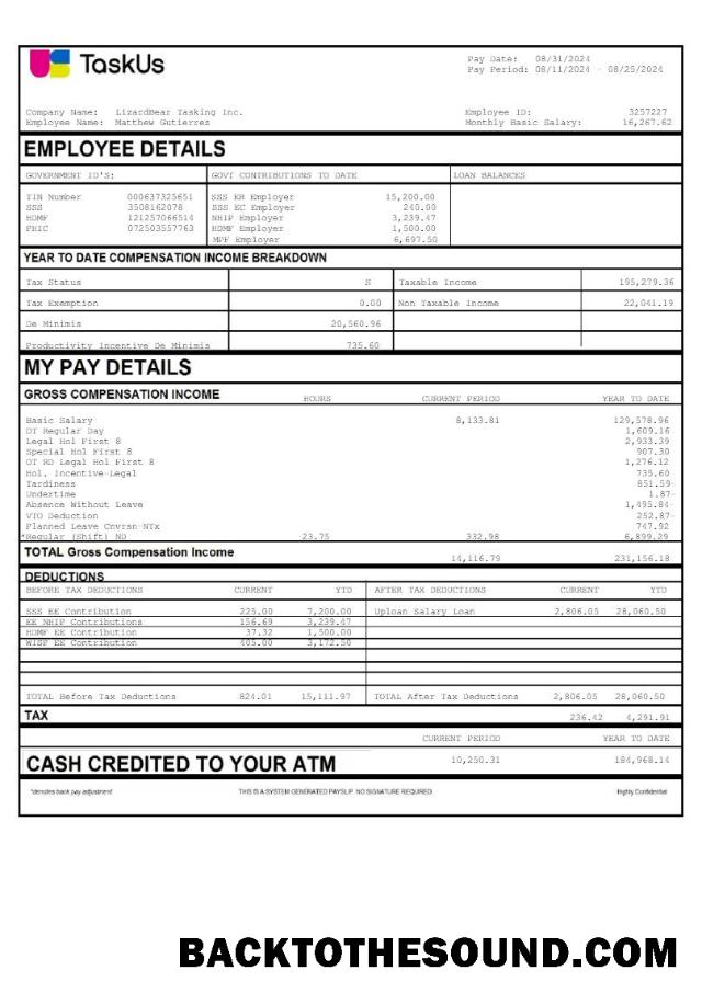 İndir TaskUs LizardBear Tasking earnings in Word and PDF Formatlar.PDF, 1 Örnek örnek