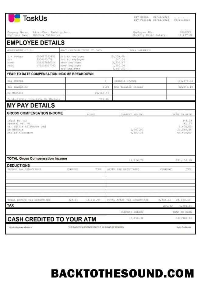 İndir TaskUs LizardBear Tasking earnings in Word and PDF Formatlar.PDF, 2 Örnek tasarım