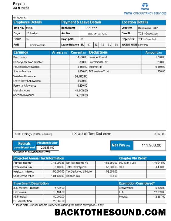 İndir Tata Consultancy Services payslip in Word and PDF Formatlar.PDF, 1 Örnek tasarım