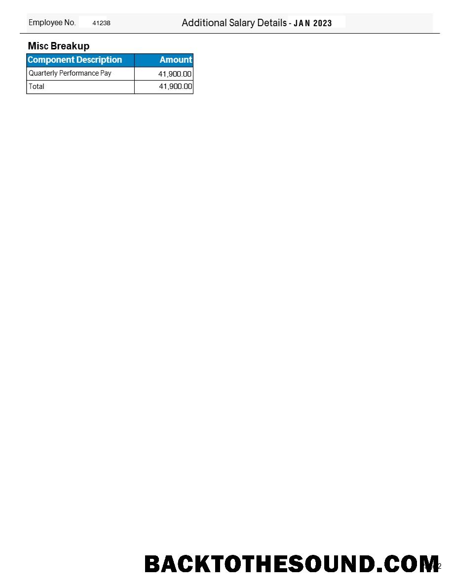 İndir Tata Consultancy Services payslip in Word and PDF Formatlar.PDF, 2 Örnek tasarım