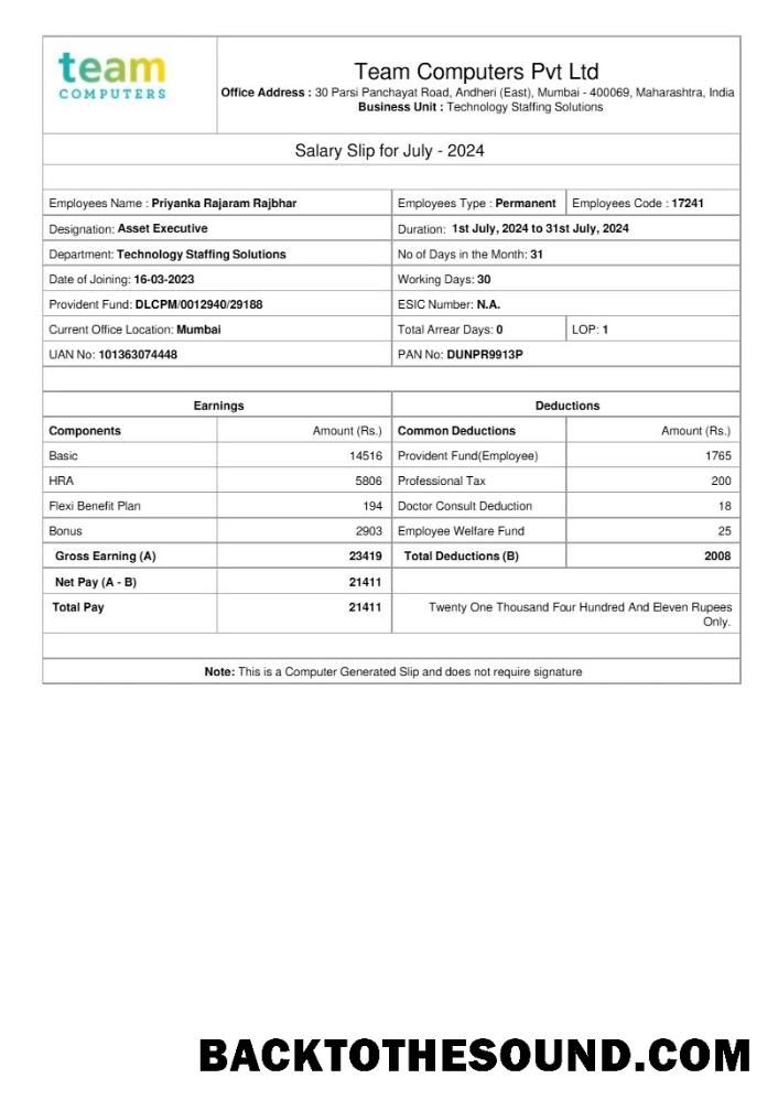 İndir Team Computers salary slip in Word and PDF Formatlar.PDF, 1 Örnek taslak