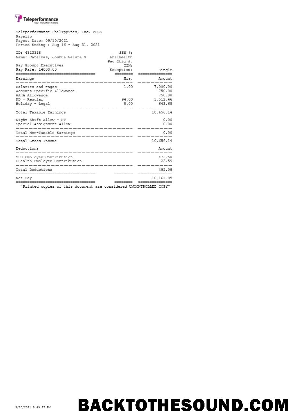 İndir Teleperformance Filipinler payslip in Word and PDF Formatlar.PDF, 1 Örnek şablon