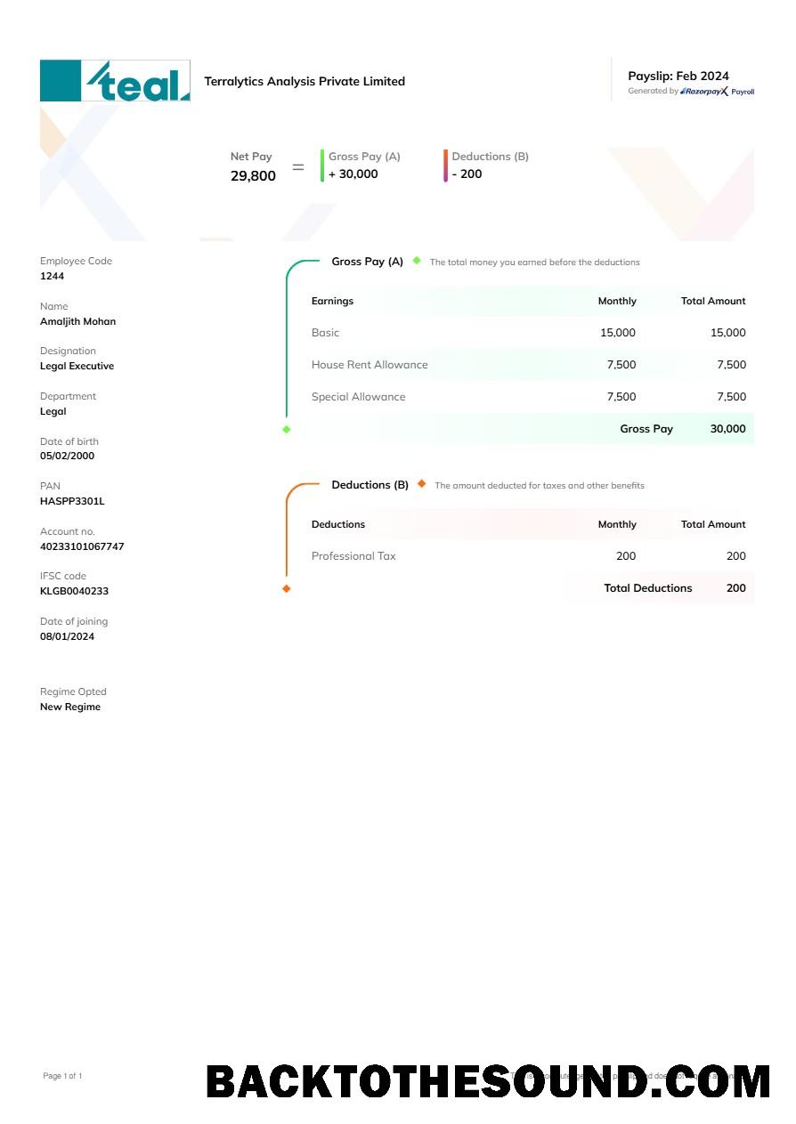 İndir Terralytics Analiz payslip in Word and PDF Formatlar.PDF, 1 Örnek ön izleme