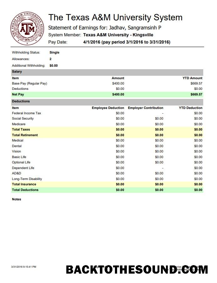 İndir The Texas A&M üniversite Sistem Earnings Hesap Özeti Word and PDF Örnek şablon