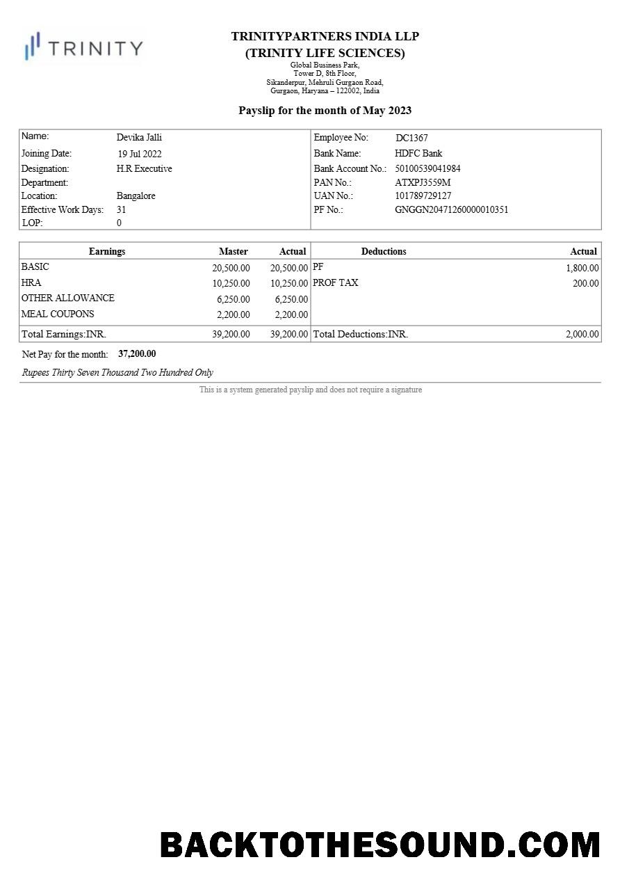 İndir Trinitypartners Hindistan Gerçek estate payslip in Word and PDF Formatlar.PDF, 1 Örnek şablon