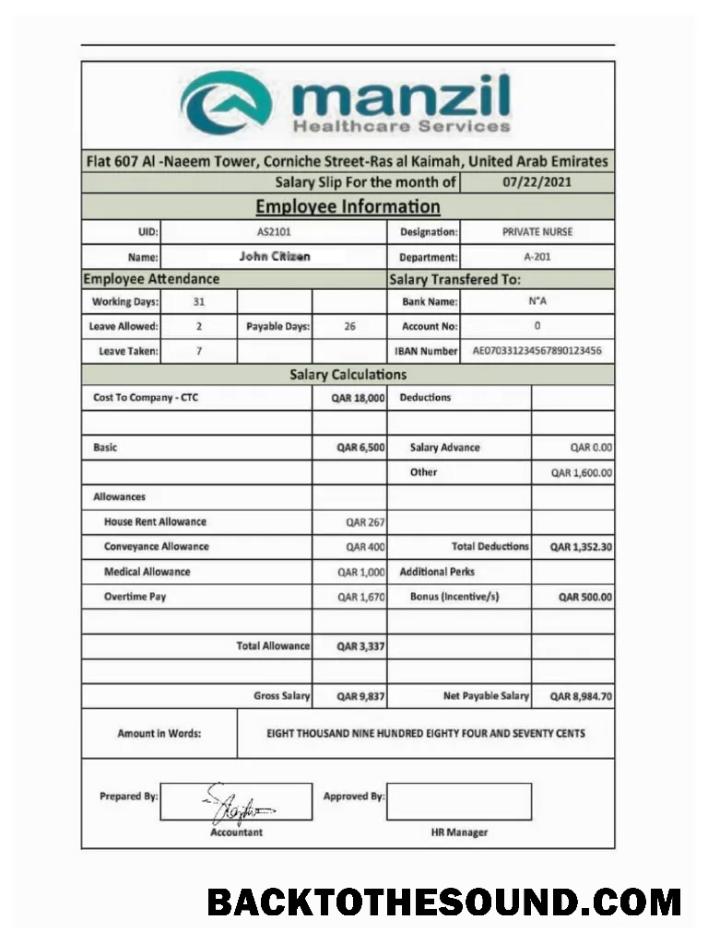 İndir BAE MANZIL Healthcare Services salary slip in Word and PDF Formatlar Örnek şablon
