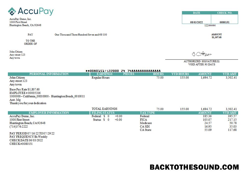 İndir ABD Accupay Demo Inc. payroll Şirket Örnek tasarım