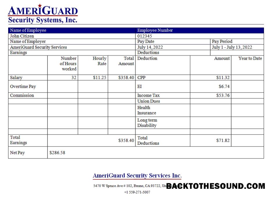 İndir ABD AmeriGuard Security Services Inc security Şirket Örnek ön izleme