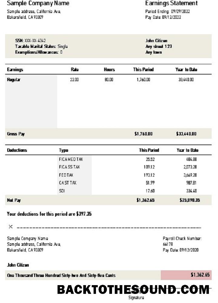 İndir ABD California earnings Hesap Özeti Örnek şablon
