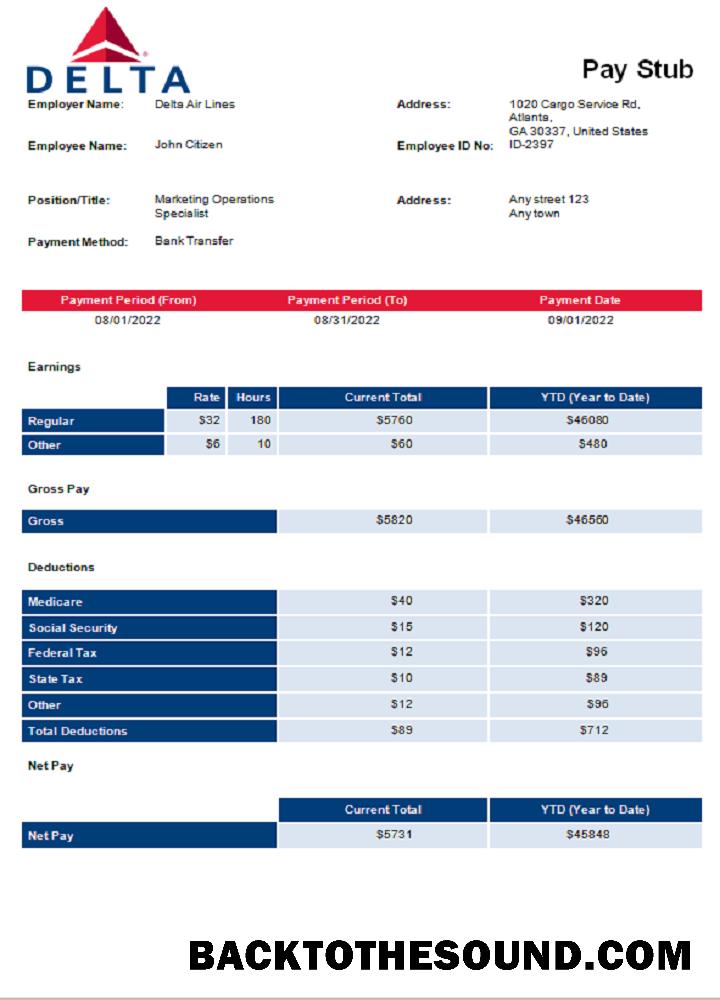 İndir ABD Delta Air Lines airlines Şirket pay stub Örnek tasarım