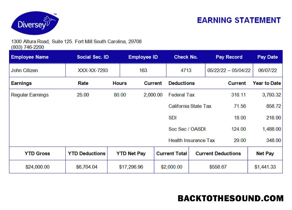İndir ABD Diversey household Mal Şirket pay stub Örnek örnek