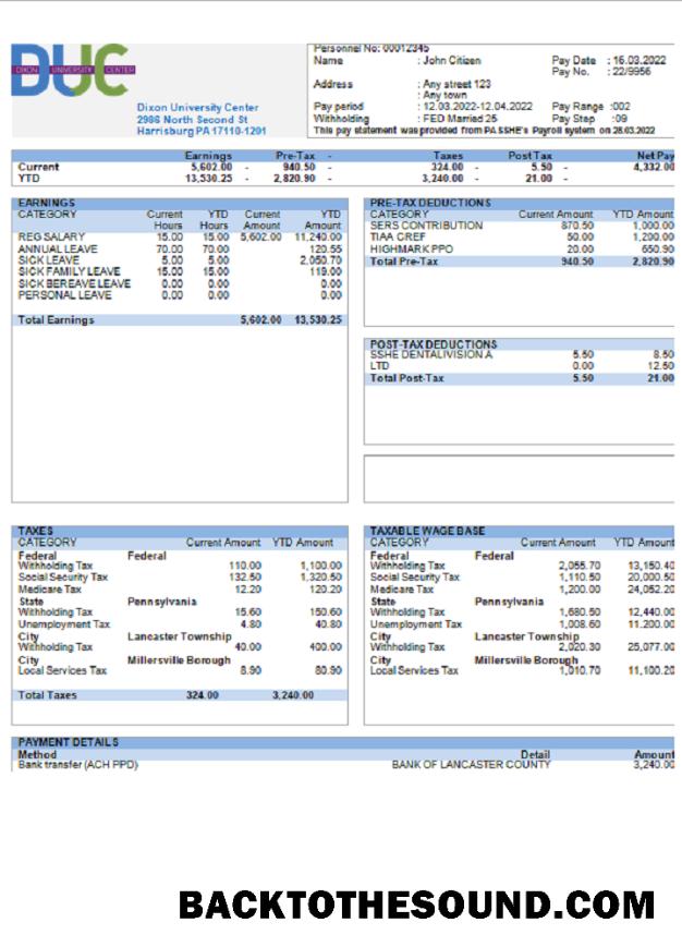 İndir ABD Dixon üniversite Center Eğitim Şirket pay stub Örnek taslak