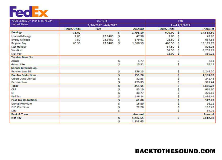 İndir ABD Fedex ulaşım Şirket pay stub Örnek ön izleme