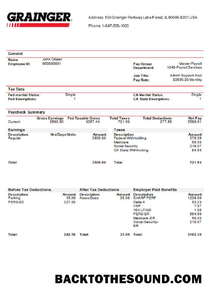 İndir ABD Grainger industry Şirket pay stub Örnek örnek