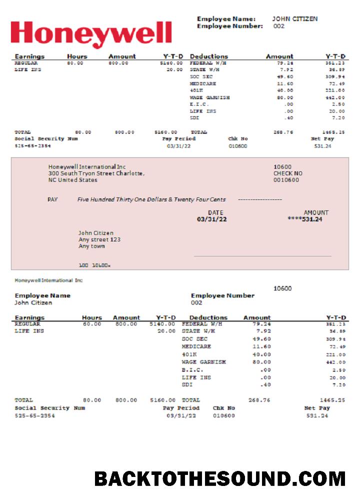 İndir ABD Honeywell conglomerate Şirket pay stub PSD Örnek şablon