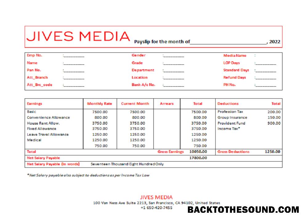 İndir ABD Jives Media reklamcılık Şirket pay stub Örnek şablon