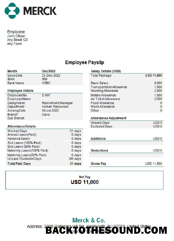 İndir ABD Merck & Co. pharmaceutical Şirket pay stub Örnek taslak