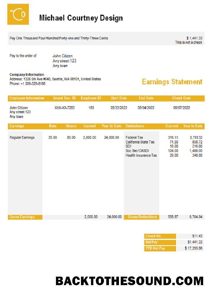 İndir ABD Michael Courtney Tasarım graphic Şirket pay stub Örnek taslak