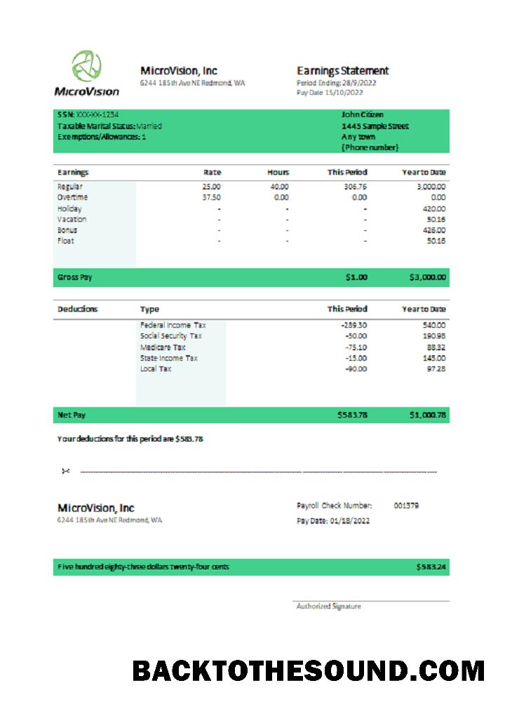 İndir ABD MicroVision informational Şirket pay stub Örnek taslak