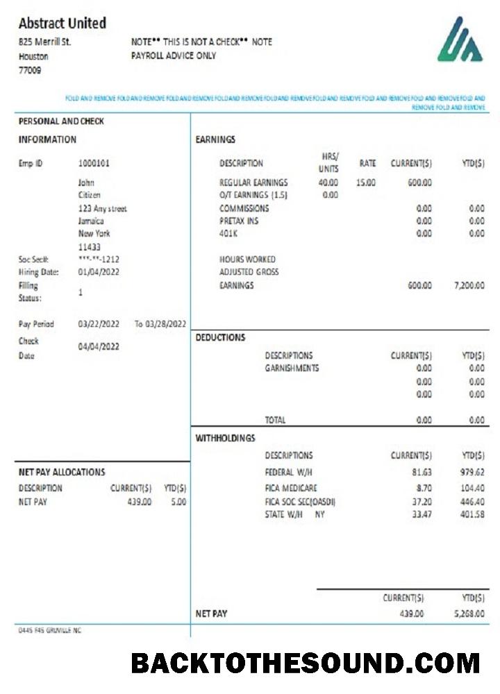 İndir ABD Yeni York Abstract birleşik pay stub Örnek taslak