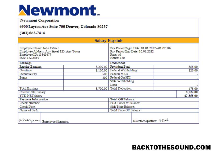 İndir ABD Newmont Corporation mining Şirket pay stub Örnek taslak