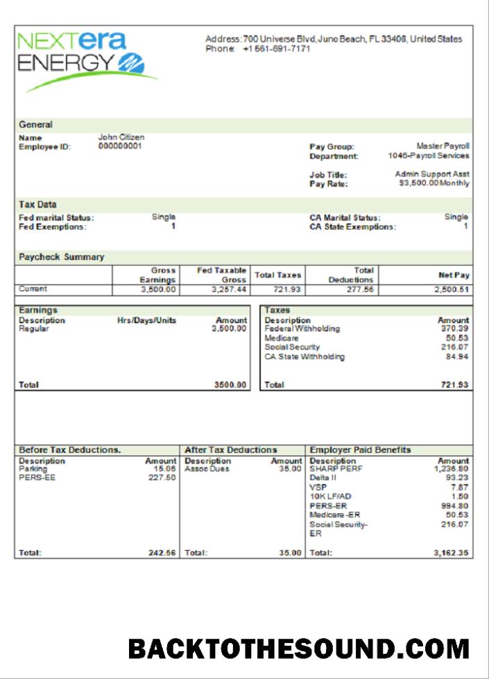 İndir ABD NextEra Energy electric Şirket pay stub Örnek örnek