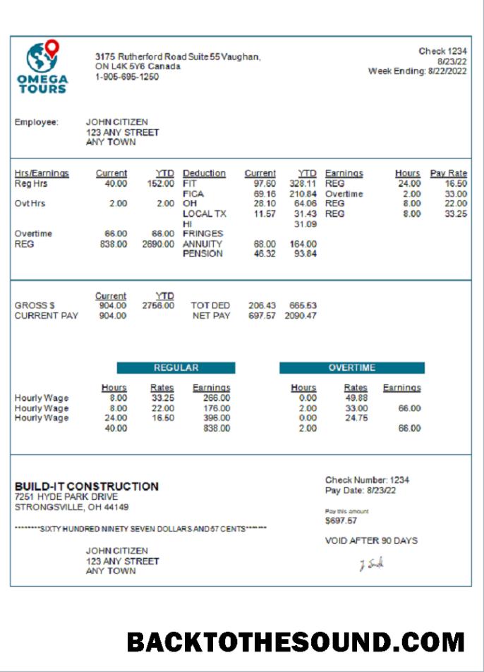 İndir ABD Omega Tours tourism Şirket pay stub Örnek tasarım