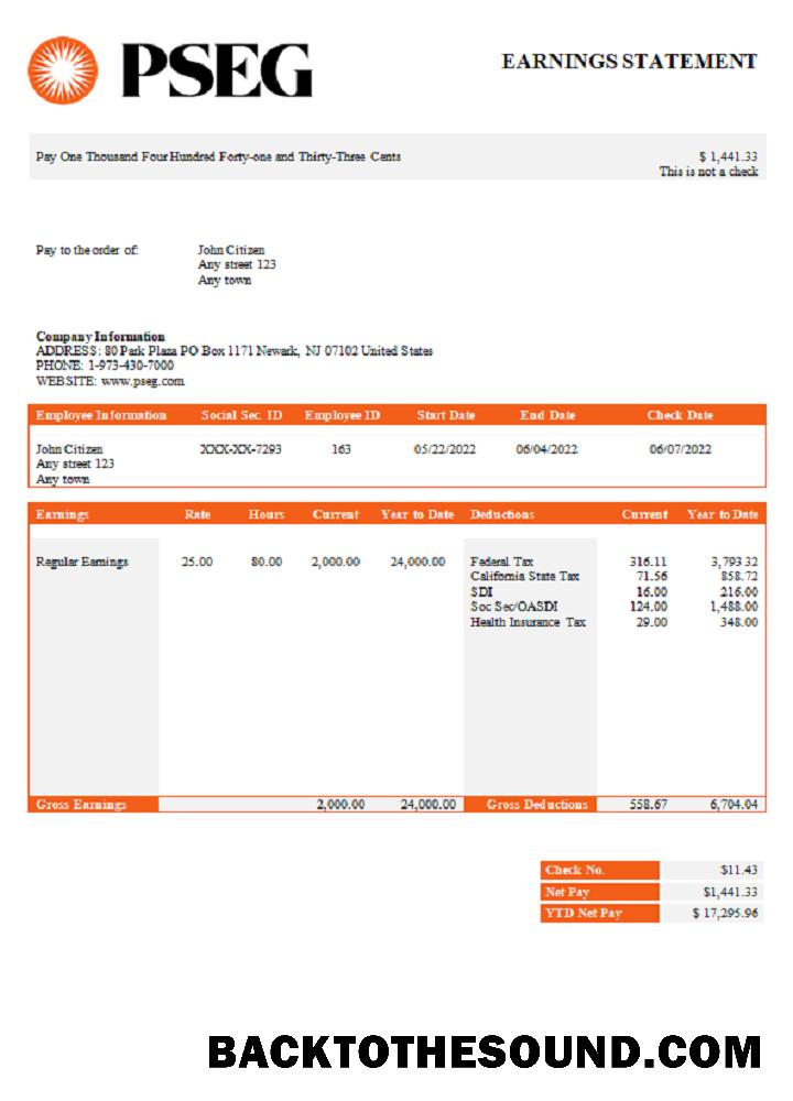 İndir ABD PSEG utilities Şirket pay stub Örnek örnek