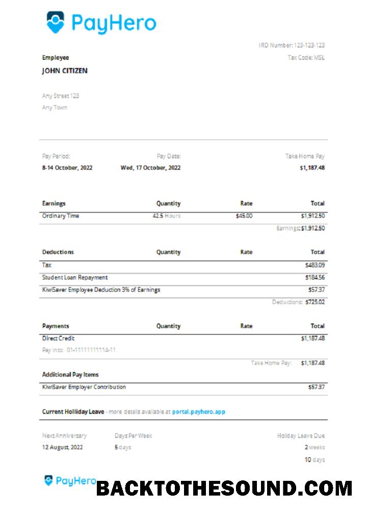 İndir ABD PayHero financial Şirket pay stub Örnek ön izleme