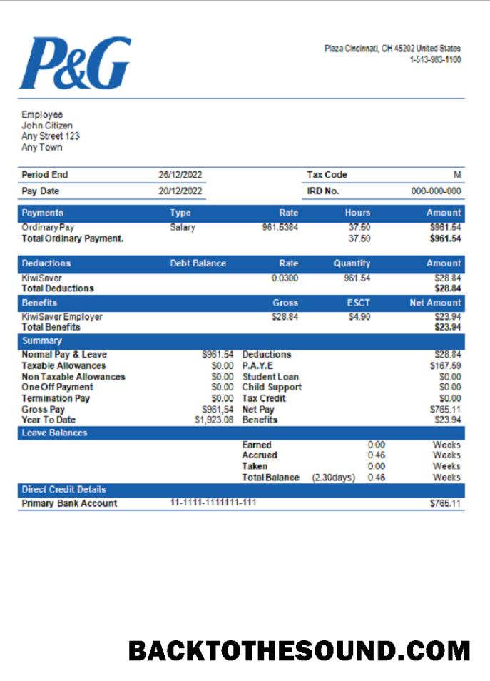 İndir ABD Procter & Gamble consumer products Şirket pay stub Örnek ön izleme