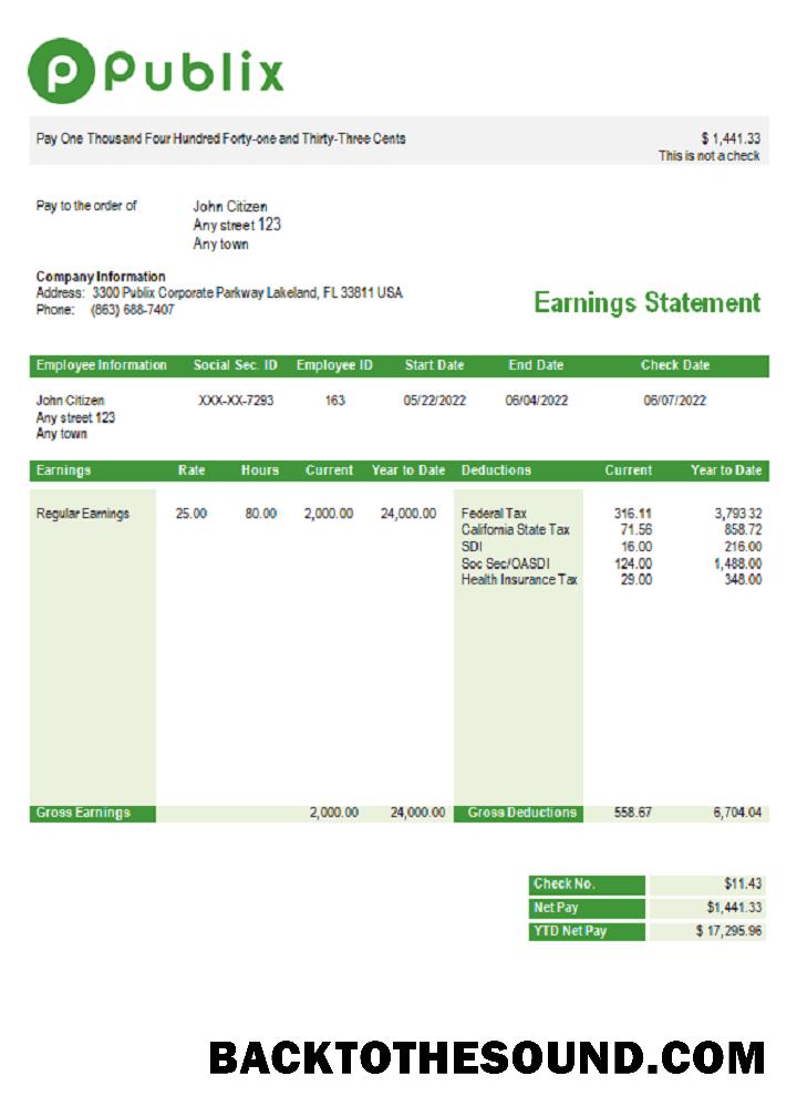 İndir ABD Publix Super Markets Inc. supermarket Şirket pay stub Örnek şablon