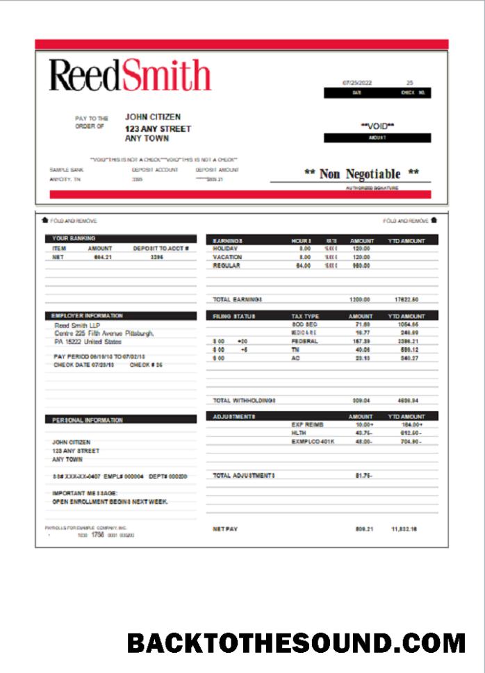 İndir ABD Reed Smith LLP law Şirket pay stub Örnek tasarım