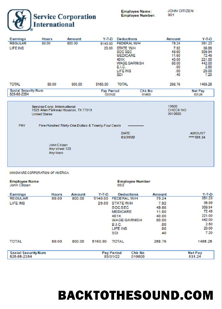 İndir ABD Hizmet Corp. uluslararası consumer discretionary Şirket pay stub Örnek örnek