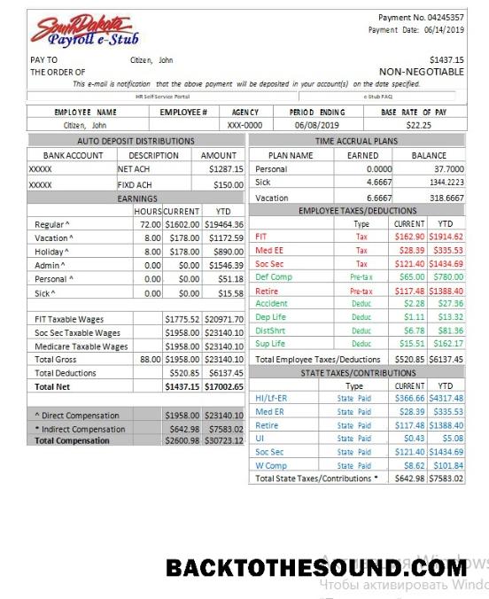 İndir ABD South Dakota payroll e stub Word and PDF Örnek taslak
