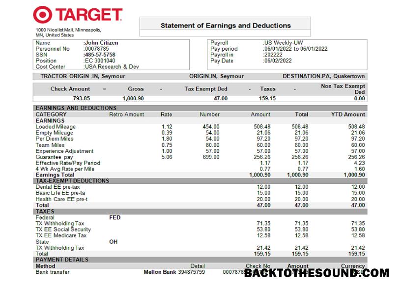 İndir ABD Target retail Şirket pay stub Örnek şablon