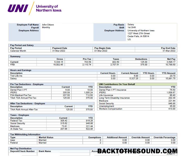 İndir ABD üniversite of Norther Iowa paystub in Excel and PDF Formatlar Örnek şablon